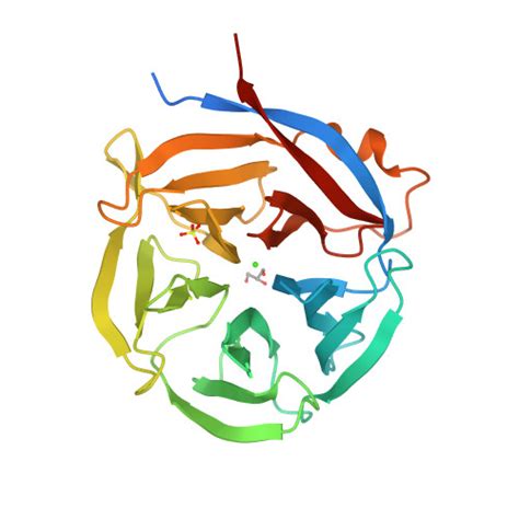 Rcsb Pdb 3nom Crystal Structure Of Zymomonas Mobilis Glutaminyl