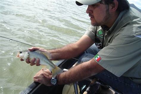 Donde Pescar Pescando Lobinas En La Presa De San Antonio