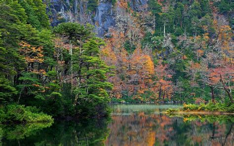 Wallpaper Trees Landscape Colorful Fall Mountains Lake Nature