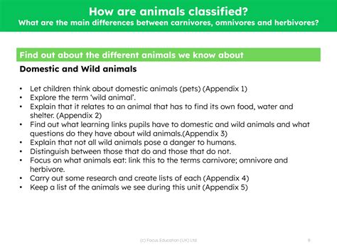 What Are The Main Differences Between Carnivore Omnivore And Herbivore