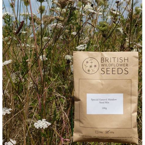 British Wildflower Seeds | Wildflower Meadow Seed Packets | British ...