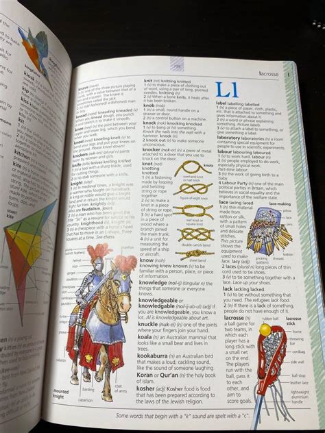 The Usborne Illustrated Dictionary Thesaurus Hobbies Toys Books