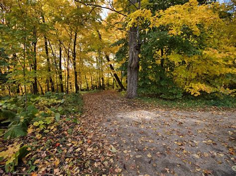 Le Sentier Des Grands Domaines De Sillery Accessible Avant Son