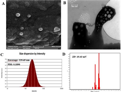 A And B Sem And Tem Images Of Lwsplgafacs Nps C Dls