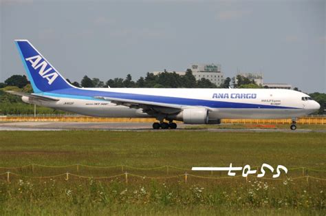 機体記号 Ja603f Ana 航空機体ガイド Flyteamフライチーム