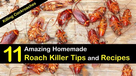 Diy Roach Extermination