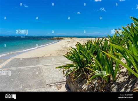 Playa Dorada In Puerto Plata Dominican Republic Beautiful Tropical