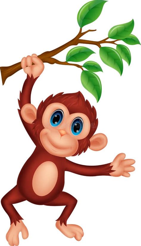 Cute Monkey Cartoon Hanging On A Tree Branch Stock Vector