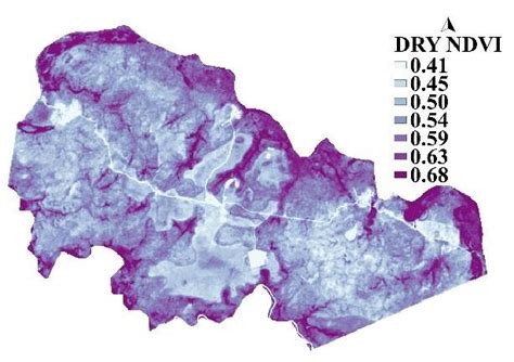 Spatial Distribution Maps Of Vegetation Indexes Enhanced Vegetation