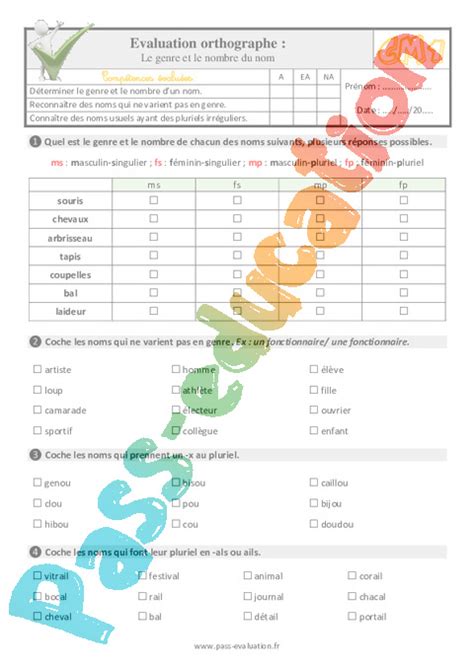 Le Genre Et Le Nombre Du Nom Au Cm Evaluation Qcm Quiz Pdf