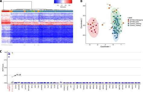 DNA methylation pattern analysis yields full sensitivity and ...