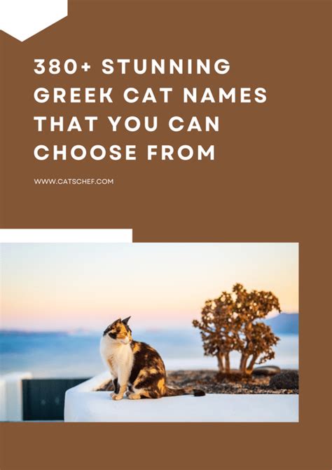 380+ Stunning Greek Cat Names That You Can Choose From