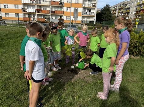 Z Ekologi Za Pan Brat Szko A Podstawowa Nr W Arach