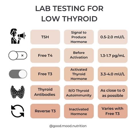 Thyroid Testing The Full Panel Chelseapotternutrition