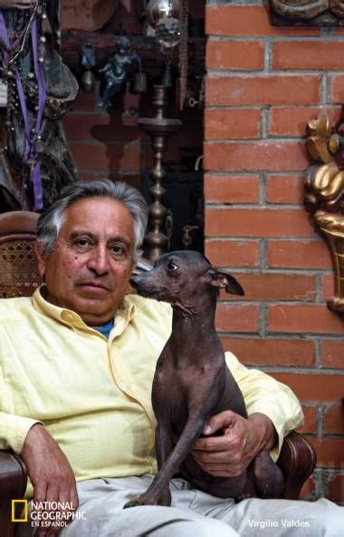 Xoloitzcuintle El Perro Azteca Que Guiaba A Las Almas Al Inframundo