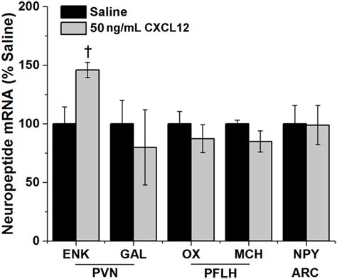 Cxcl12 Effects On Neuropeptide Expression Injection Of Cxcl12 Into The Download Scientific