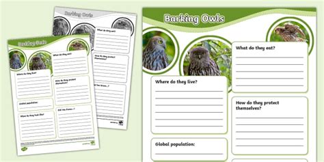 Barking Owls Fact File Template Hecho Por Educadores