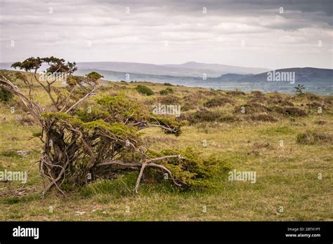 Whitbarrow Scar Hi Res Stock Photography And Images Alamy