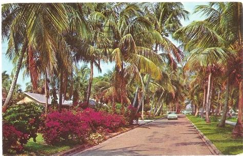 Vintage Florida Postcard Naples On The Gulf By Savannahsmiles4u