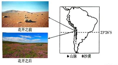 阅读图文材料 完成下列要求 智利阿塔卡马沙漠号称是世界干极 平均年降水量小于0 1毫米 然而由于厄尔尼诺现象的影响 赤道附近的偏东信风减弱