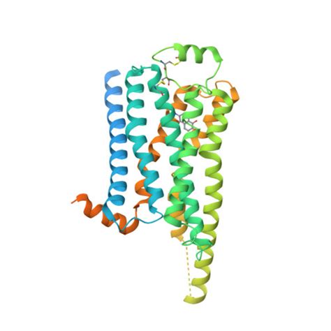 Rcsb Pdb 8ggi Locally Refined Cryoem Structure Of Receptor From Beta