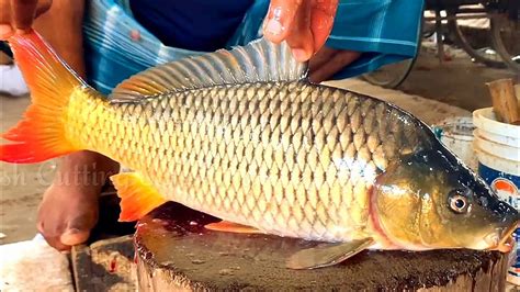 Alive Grass Cup Fish Cutting Skills Amazing Big Grass Cup Fish