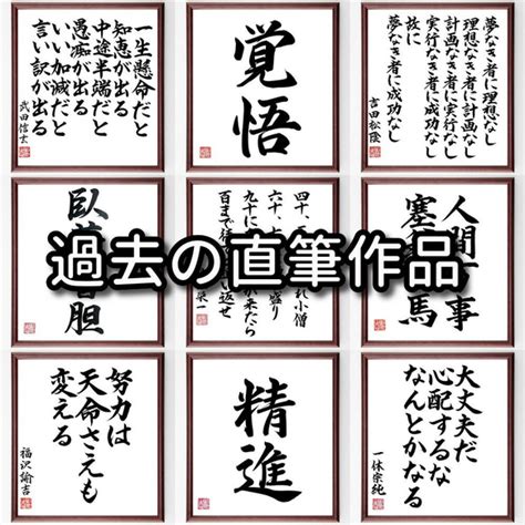 レオナルド・ダ・ヴィンチの名言「充実した一日が、幸せな眠りをもたらすように、～」額付き書道色紙／受注後直筆（v1557） 書道 名言専門の書道