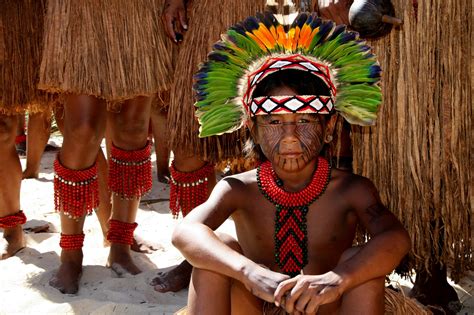 Dia Nacional Dos Povos Ind Genas Ius Natura