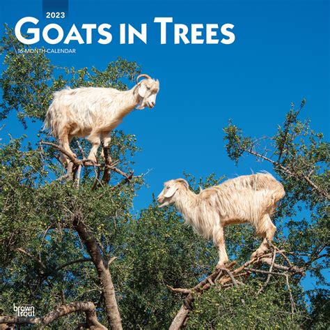 Goats In Trees Calendar 2022