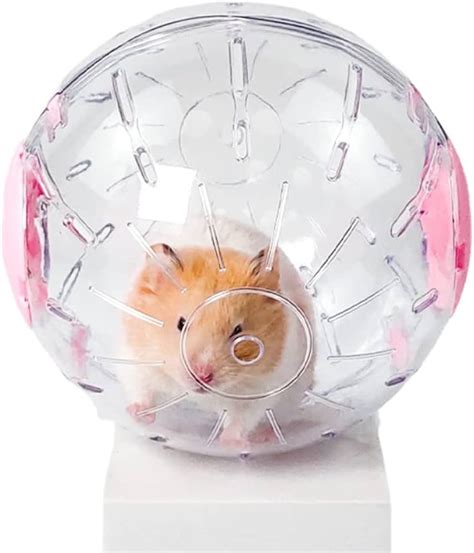 חולם מונה חשיפה Hamster Joggingball Amazon כרוב סיני שלב פרן