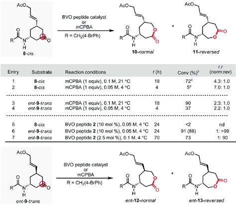 Scheme 1 Examination Of Substituent Orientation And Baeyer−villiger Download Scientific