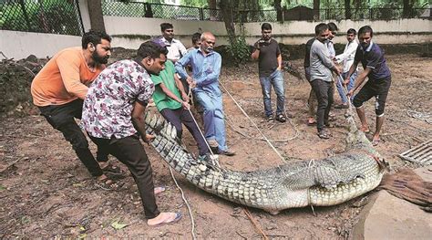 અરબી સમુદ્રમાં સર્જાયેલું દબાણ ચક્રવાત આસનામાં પરિવર્તિત વડોદરામાં