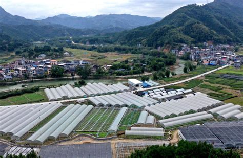 广西：初冬时节农事忙 广西高清图片 中国天气网