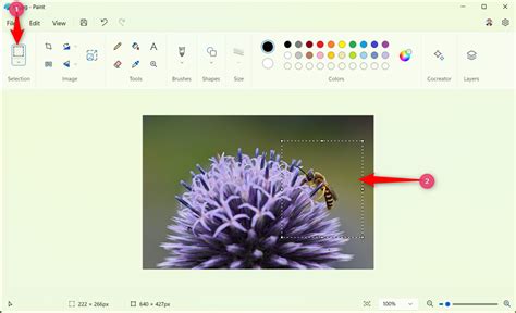 Comment Supprimer L Arri Re Plan D Une Image Avec Paint Sous Windows