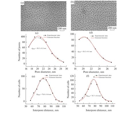 SEM Images Of The Surface Of PAAO Films Formed On SiO 2 Si Substrate