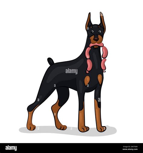 dog doberman isolated at the with background Stock Photo - Alamy