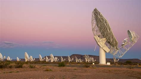 A newfound, slow pulsar shouldn't emit radio waves — yet it does | Science News