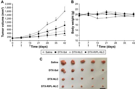 In Vivo Antitumor Efficacies In Skov3 Bearing Balb C Nude Mice Treated Download Scientific