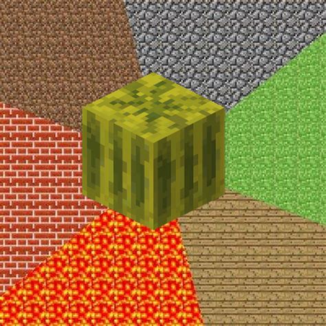 how to plant melons minecraft 5