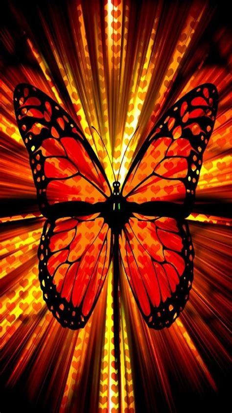 Orange Butterfly Wallpapers 4k Hd Orange Butterfly Backgrounds On