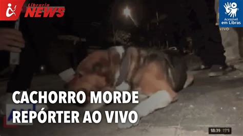 Rep Rter Faz Carinho Em Cachorro E Leva Mordida Ao Vivo Libras Youtube