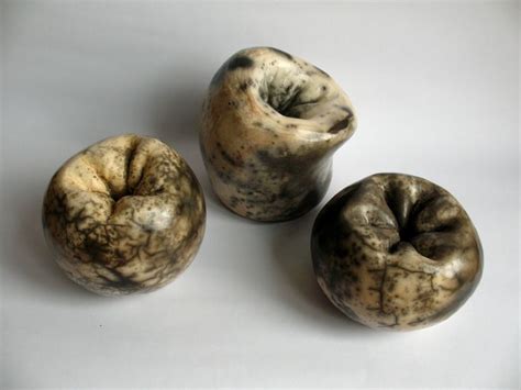 Naked Raku Objects Ceramic Sculpture Raku Ceramics