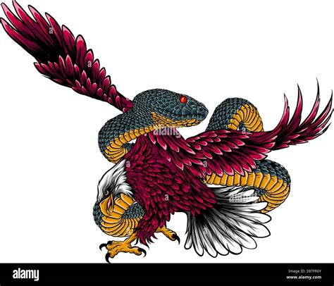 Eagle fighting serpent snake Stock Vector Images - Alamy