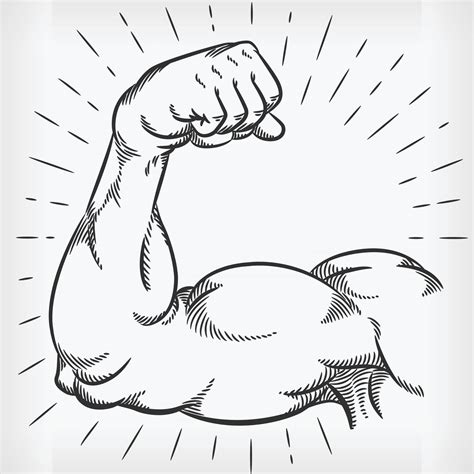 Muscle Drawing