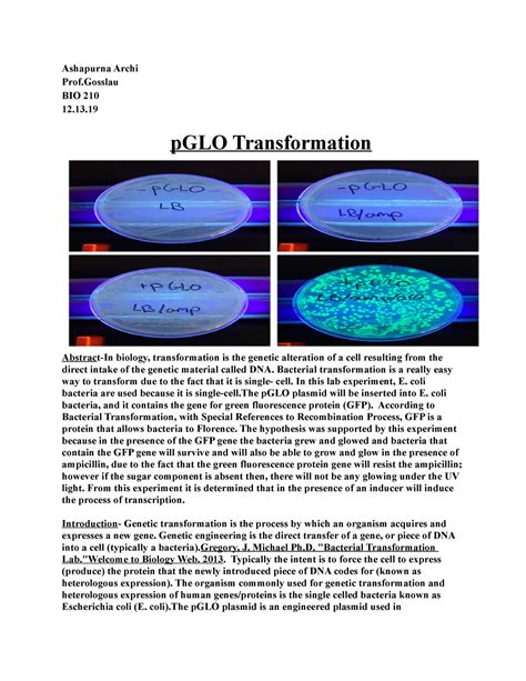 P GLO Transformation Ashapurna Archi Prof BIO 210 PGLO Transformation