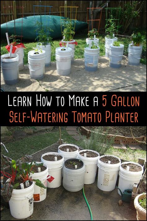 3 Easy Steps To Make A Self Watering Tomato Planter Your Projects Obn Tomato Planter