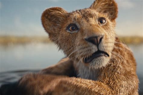 Mufasa Le Prequel Live Action Du Roi Lion D Voile Sa Premi Re Bande