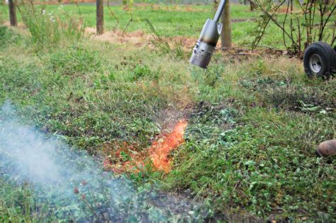 Weed Warfare – On The Banks of Salt Creek