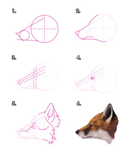 Comment Dessiner Un Renard étape Par étape La Maison Des Tableaux Apprendre à Dessiner Des