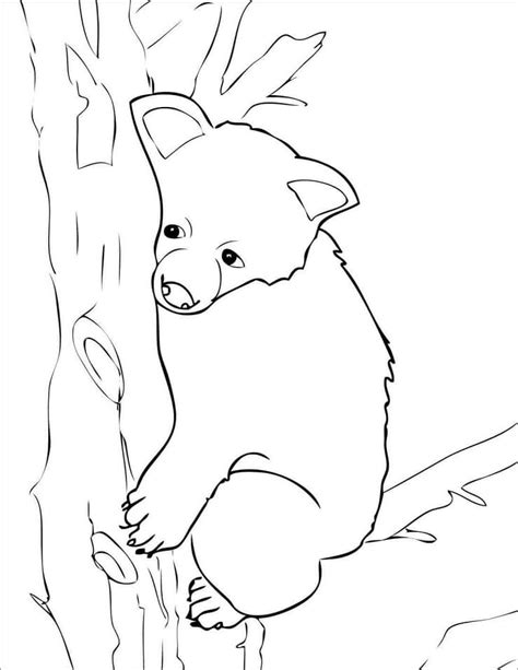 Bear Coloring Pages Free Printable Coloring Pages For Kids